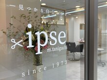 エムタニグチイプセ(M.TANIGUCHI ipse)