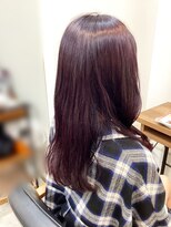 ルピナス 北千住(Lupinus) ダークピンクラベンダー