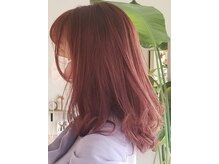 ニュート(Neut.)