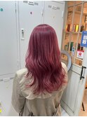 【池田】パープルピンク