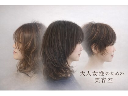 アナログノイ(analog noi)の写真