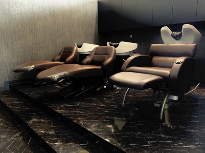 スプルース(spruce)の写真