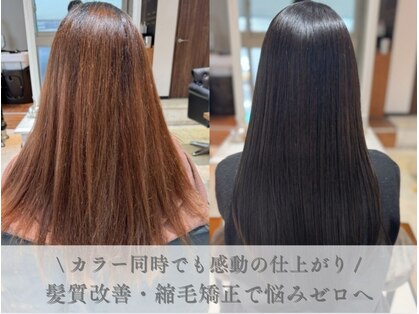 アレッタ 大森町(aletta)の写真
