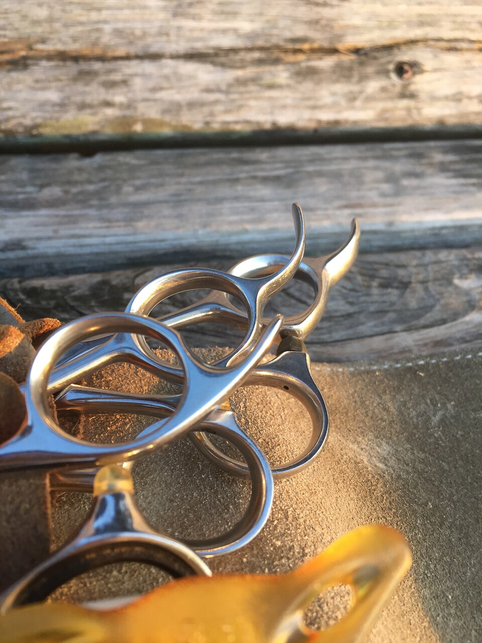 【ご新規様限定】☆平日全通常メニュー１０％OFF♪