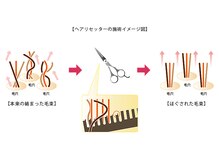 ボリュームがでなくった髪、分け目が気になる方へ【ヘアリセッター】