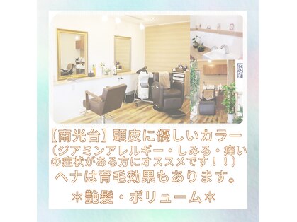 ラパス(LAPAZ)の写真