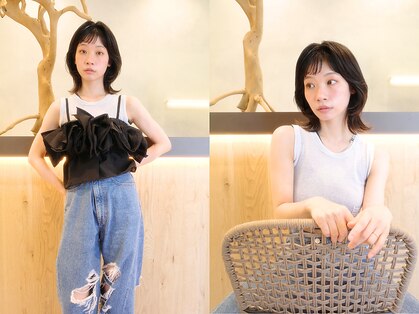 リノ(lino)の写真