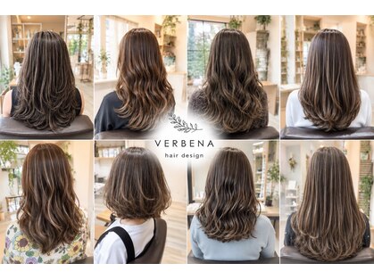バーベナ(VERBENA)の写真
