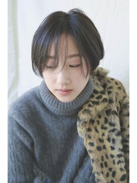 プレディカ(pledica) AI1262