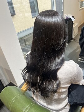 リット(Lit) ダークブラウン/艶カラー