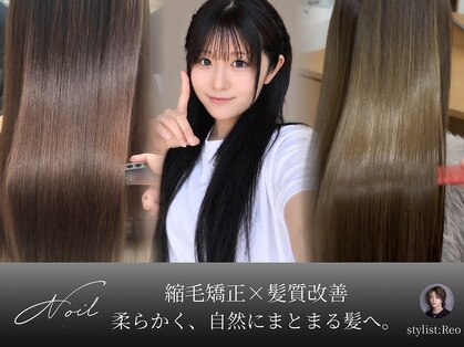 ノイル(Noil)の写真