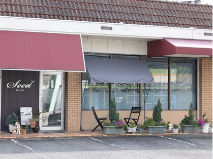 ヘアーシード(seed)の写真