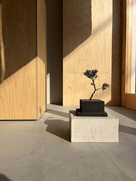 ザ ライト(The Light) 【green】