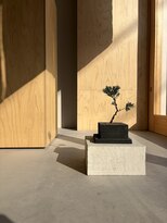 ザ ライト(The Light) 【green】