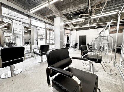 ニフティ(nifty)の写真