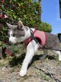 エヌスリー(N 3)&nbsp;実家では猫ちゃん飼ってます!お散歩好きです♪