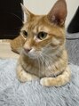 ボタニウムドットハイクバイアールサロン(BOTANIUM.Hk by Rr SALON) 愛猫のマロン毎日癒される