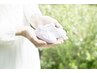 ☆平日限定☆湿気対策！カット＆髪質改善トリートメント　￥10000