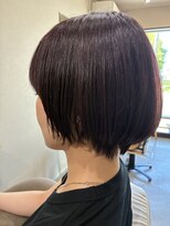 本と南風 guest design