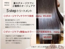 ヴィアーレ(VIALE)