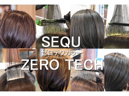 シーク(SEQU)の写真