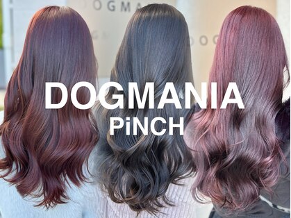 ドッグマニアピンチアオヤマ(DOGMANIA PiNCH AOYAMA)の写真