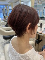 アッシュ 仙川店(Ash)&nbsp;30代40代50ハンサムショート レッドブラウン 細毛ボリュームUP