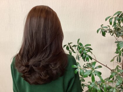 フェアリー Fairyの写真