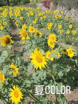 シャルシェ(Chercher)&nbsp;夏キラリCOLOR