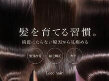 ロコヘアー(Locohair)