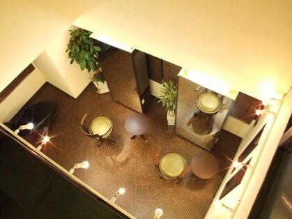 プシケ(PSYCHE)の写真