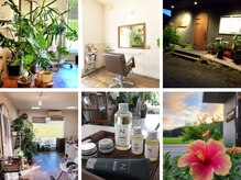 ジュジュマン(jujuman)