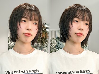 ニコ(Nico)の写真