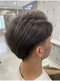 シルバーグレージュ/シルバー/グレージュ/ダークグレージュ/野幌