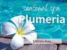 8月季節ヘッドスパ5分『プルメリアspa』カットカラー+3steｐTR￥14800