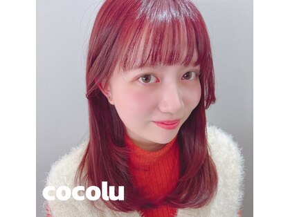 ココル(cocolu)の写真