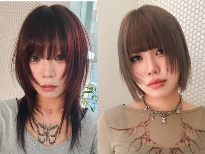 シラフ(SHIRAF)の写真