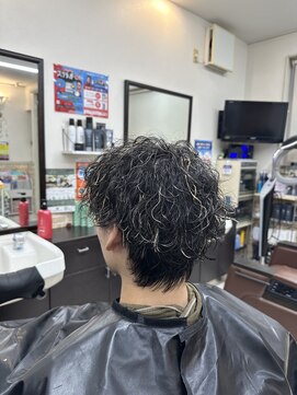 ブリリアント ヘアー ダイヤ(Brilliant Hair Dia) 濡れ感ツイスパ