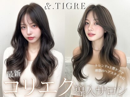 アンド ティグル(&.TIGRE)の写真