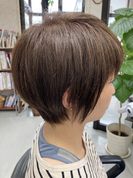 ダウエルイースト マッシュボブ
