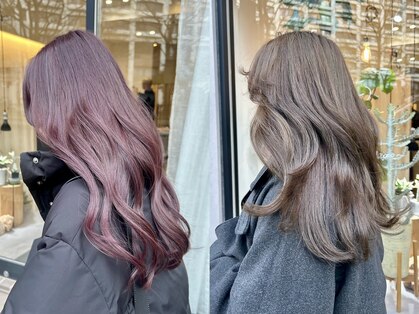 ソウ(sou)の写真