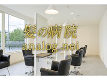 アナログノイ(analog noi)