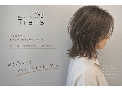 トランス(Trans)の写真