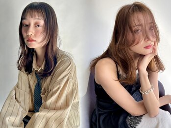 HOLLY  【ホリー】