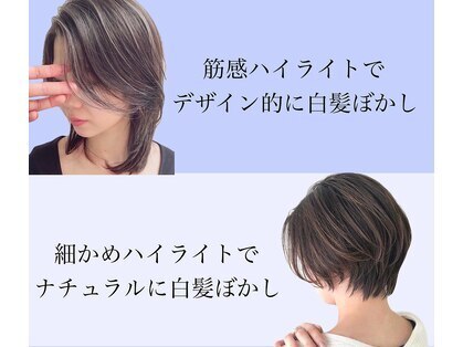 サヴォイ 本厚木店(SAVOY)の写真