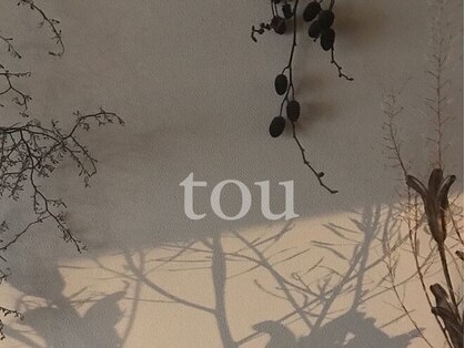 トウ(tou)の写真