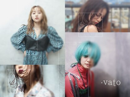 バト(vato)の写真