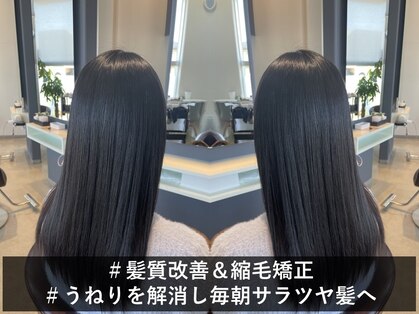 コームヘア(ko-mu hair)の写真