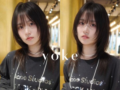 ヨーク(yoke)の写真