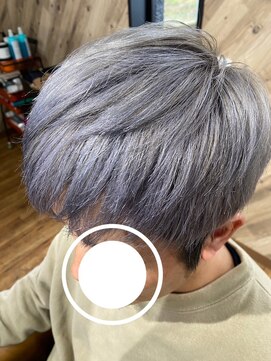 ルネッサンスヘアー ラファエロ(RAFFAELLO) シルバーcolor